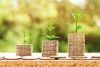 Find the Hidden Profits in Your Business